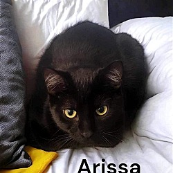Photo of Arissa