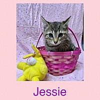Photo of Jessie