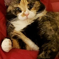 Photo of Missy