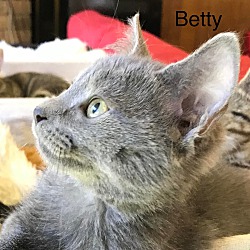 Thumbnail photo of Betty Boop #2