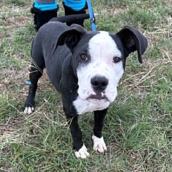 Photo of Spirit