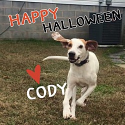 Thumbnail photo of Cody #4