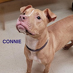 Photo of Connie