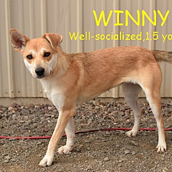 Thumbnail photo of WINNY #1