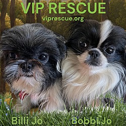 Thumbnail photo of Billi Jo & Bobbi Jo #1