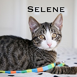 Photo of Selene