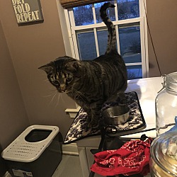 Photo of Teddy