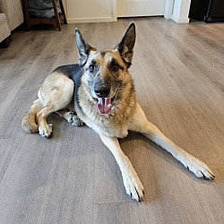 Photo of Lilly