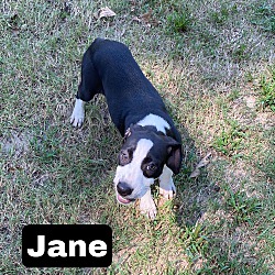 Thumbnail photo of Jane #1