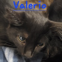 Photo of Valerio
