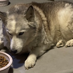 Photo of Blue