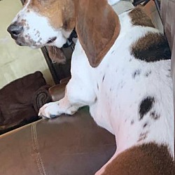 Photo of Gunther