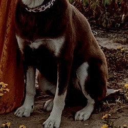Photo of Miche