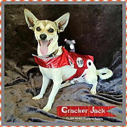 Thumbnail photo of Cracker Jack #1