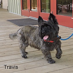 Thumbnail photo of Travis #4