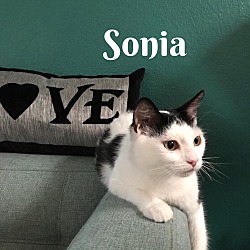 Photo of Sonia