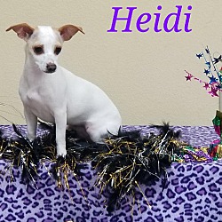 Photo of Heidi in Bryan, TX