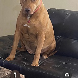Photo of REDD