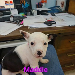 Photo of Maddie