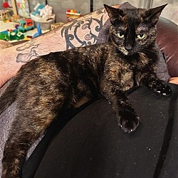 Photo of Petal