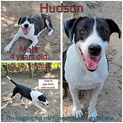 Thumbnail photo of Hudson #1