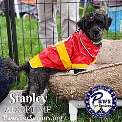Photo of Stanley