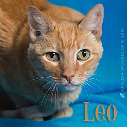 Photo of Leo