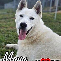 Photo of Maya