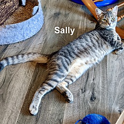 Thumbnail photo of Sammy & Sally #2