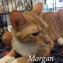 Photo of Morgan*