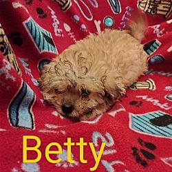 Photo of Betty (TX)