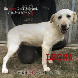Photo of Leona 8358