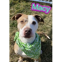 Thumbnail photo of Macy #1