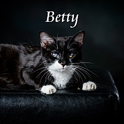 Photo of Betty