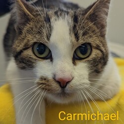 Photo of Carmichael