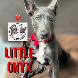 Photo of Little Onyx Gem
