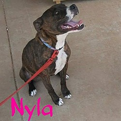 Thumbnail photo of Nyla #1
