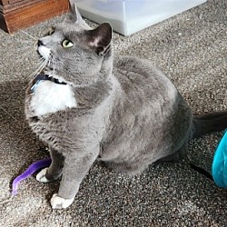 Photo of Rossi