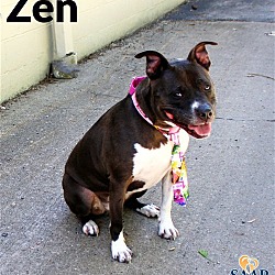 Thumbnail photo of Zen #2