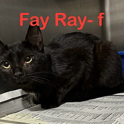 Photo of Fay Ray 24