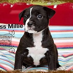 Photo of Miss Millie