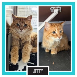 Thumbnail photo of Jeffy #2