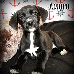 Thumbnail photo of Amara ~ meet me! #1