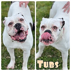 Photo of Tubs