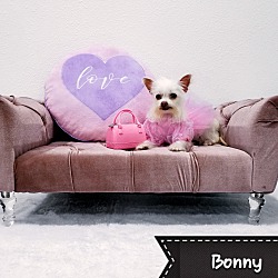 Thumbnail photo of Bonny #2