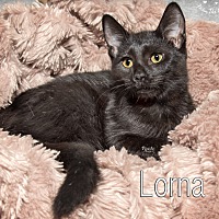 Photo of Lorna