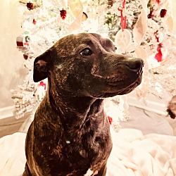 Photo of Rylee