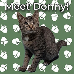 Thumbnail photo of Donny #1
