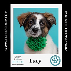 Photo of Lucy (Desilu Duo) 050424