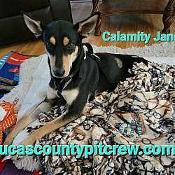 Photo of Calamity Jane